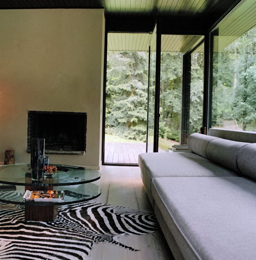 Séjour, table basse en verre, tapis zèbre